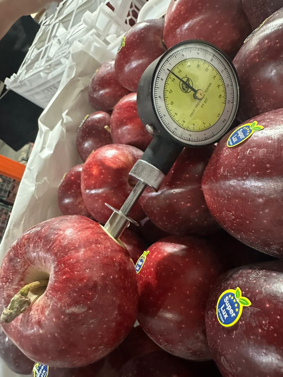 اهمیت بازرگانی سپهریان در لطف آباد